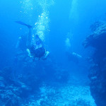 galleries-diving11