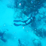 galleries-snorkeling12