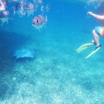 galleries-snorkeling13