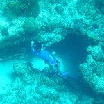 galleries-snorkeling8